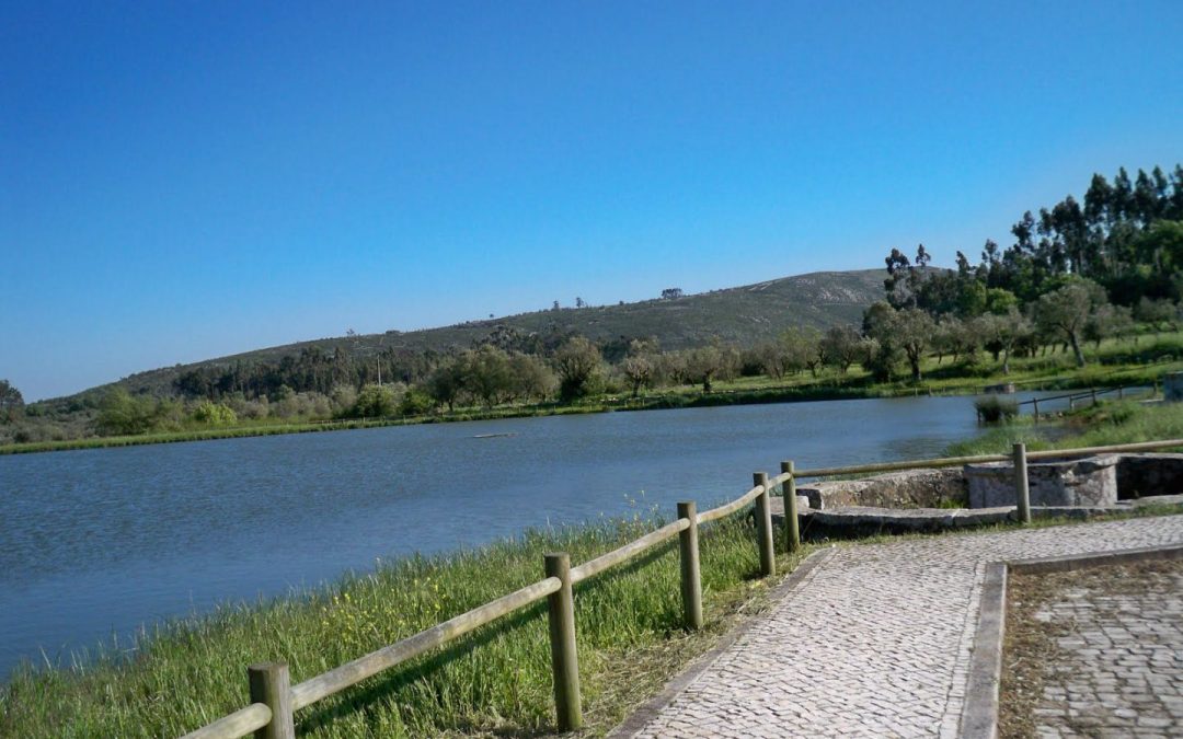 Natura: candidature aperte per SVE in Portogallo