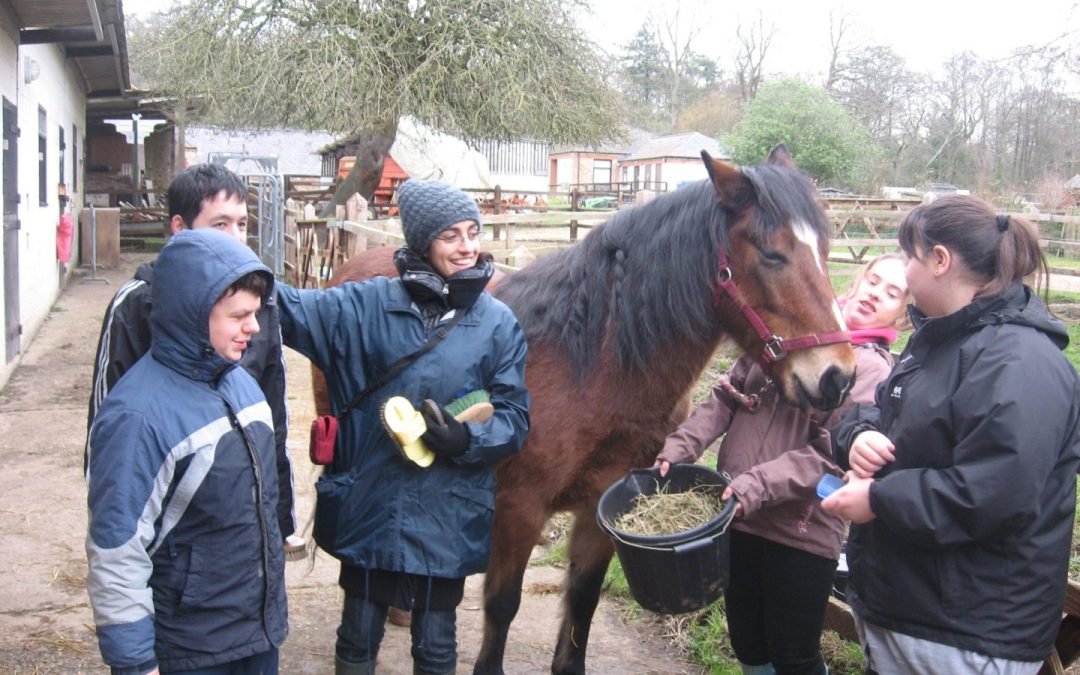 Servizio Volontario Europeo: la mia esperienza a Beaulieu