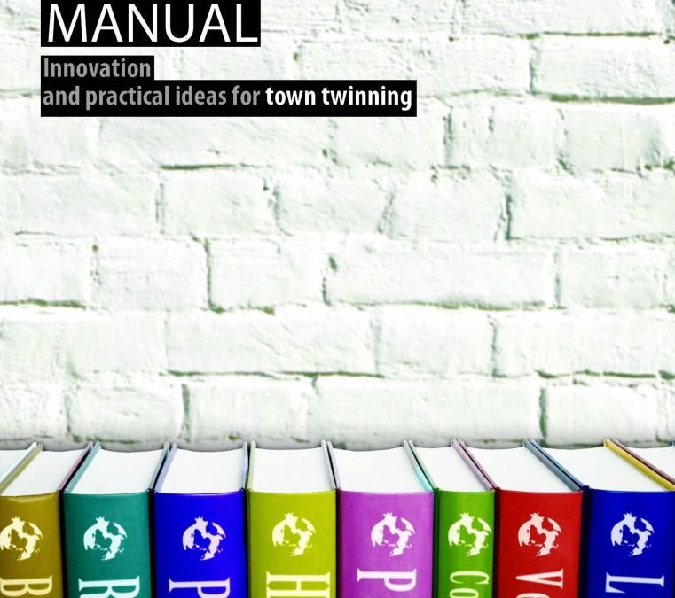 NewTwin: the manual