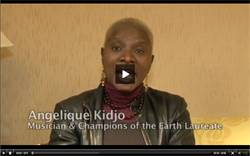 Click here to watch WED video Click here to watch WED video
