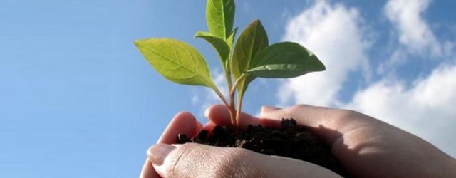 Act Locally – Sustainable Development & Young People