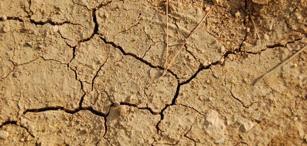 Empowering Youth Climate Ambassadors: Corso di Formazione sui cambiamenti climatici