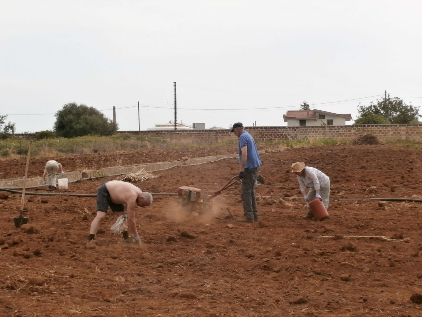 Senior Volunteering at Palermo – Discovering traditional recipes and promoting urban garden