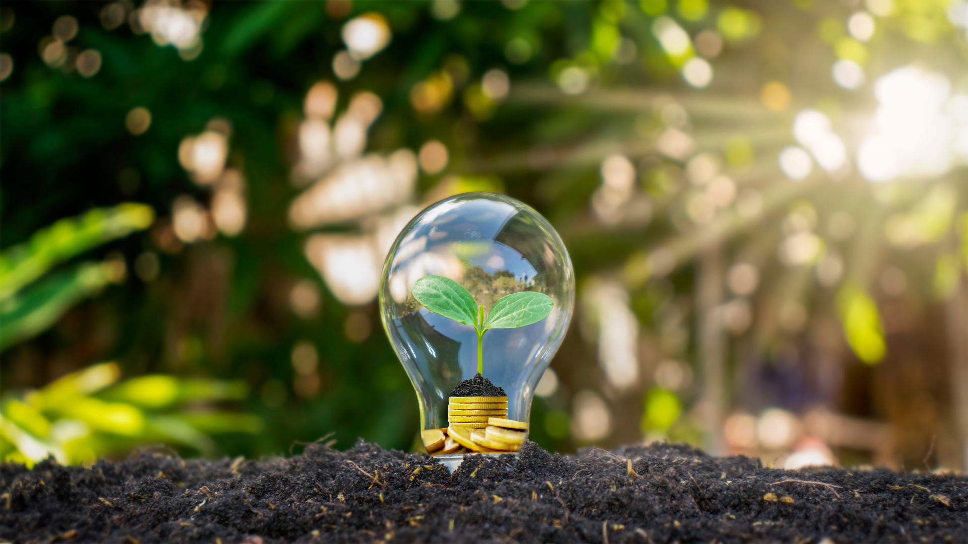 A roadmap for energy transition