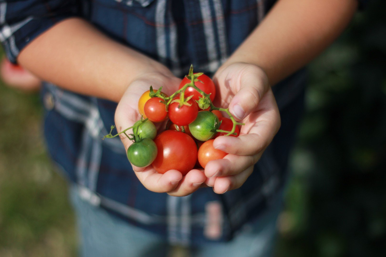 Una nuova alleanza per ridurre le diseguaglianze nel settore agroalimentare