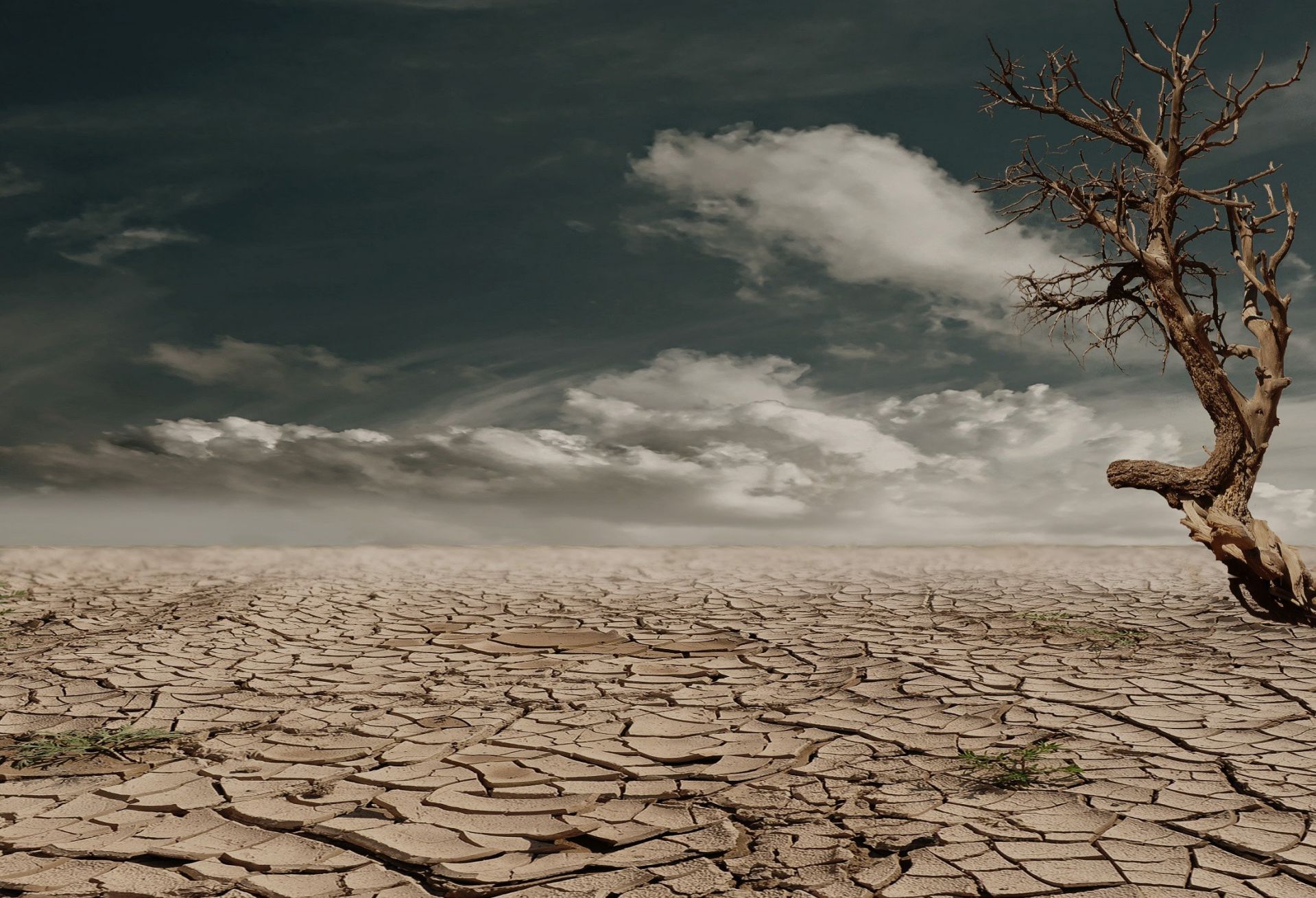 Accresci le tue competenze nell’educazione ambientale e climatica: partecipa agli incontri formativi di Climate Box!