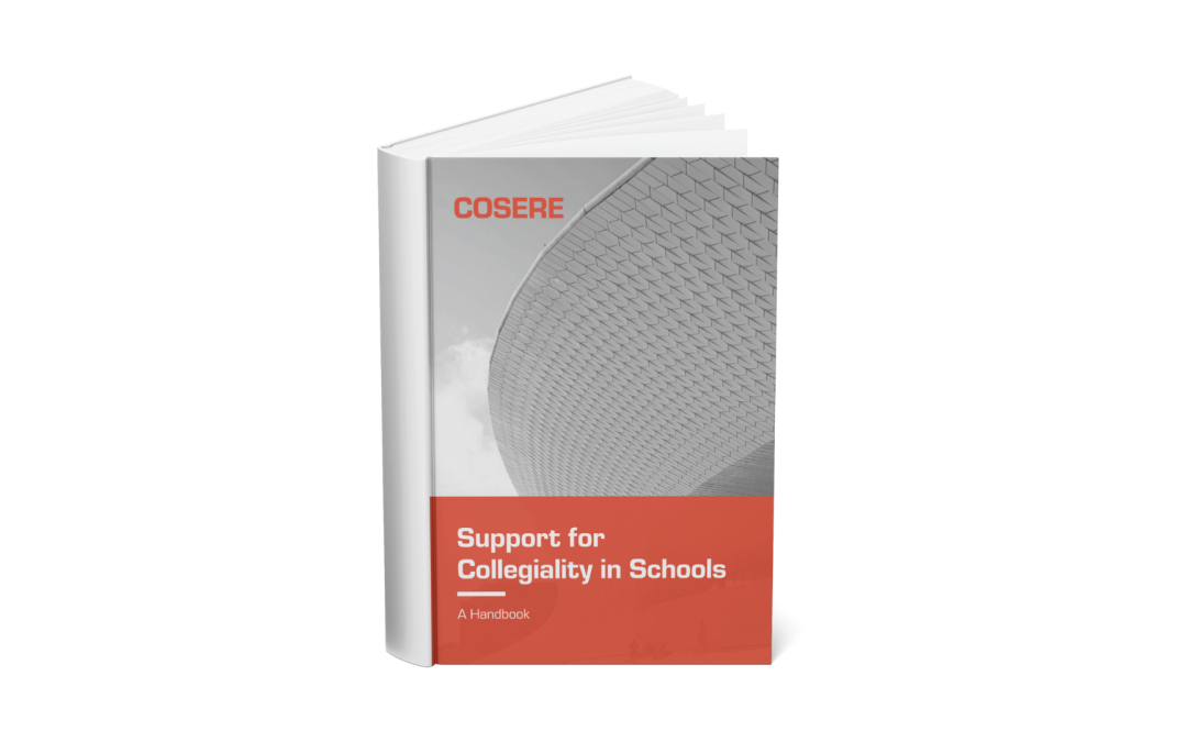 COSERE – Support for collegiality in schools