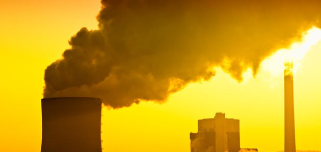Sign for the end of Ecocide in Europe