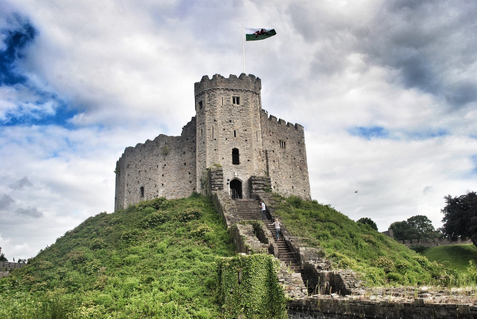 Acquiring professional competences with evs CARE in Cardiff