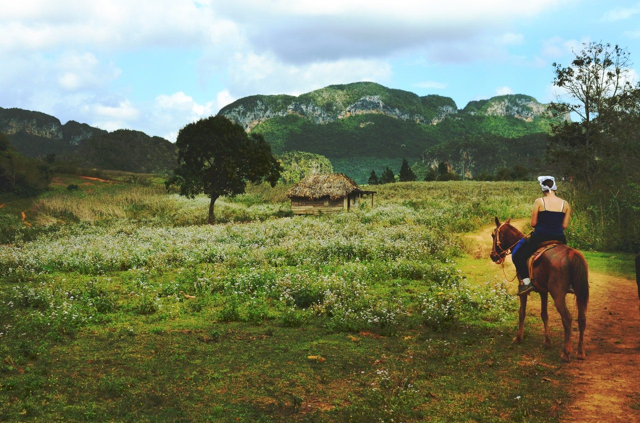 Flip the Switch with EVS: Naturalistic paths, excursions and archery in Hungary