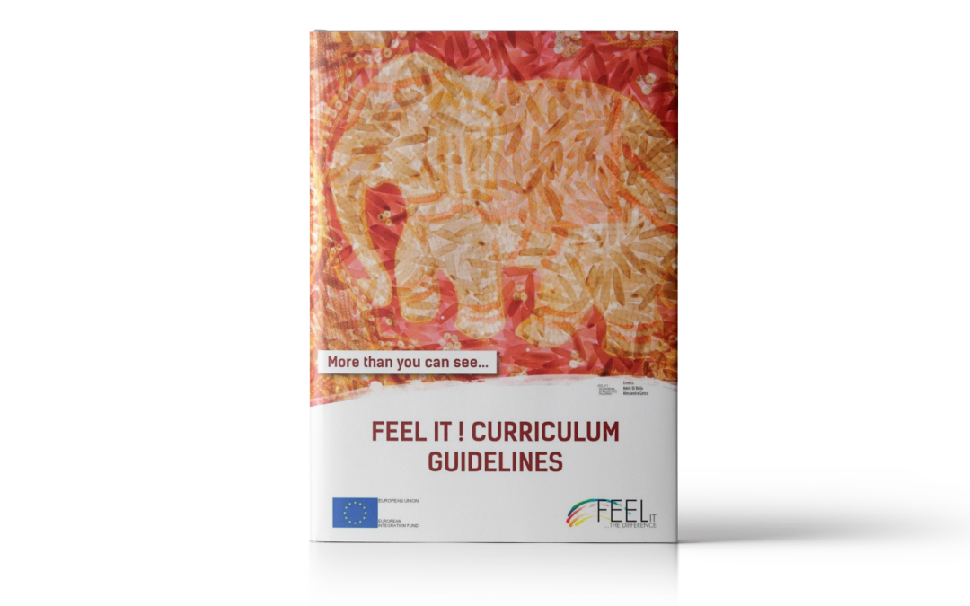 Feel it! Curriculum Guidelines
