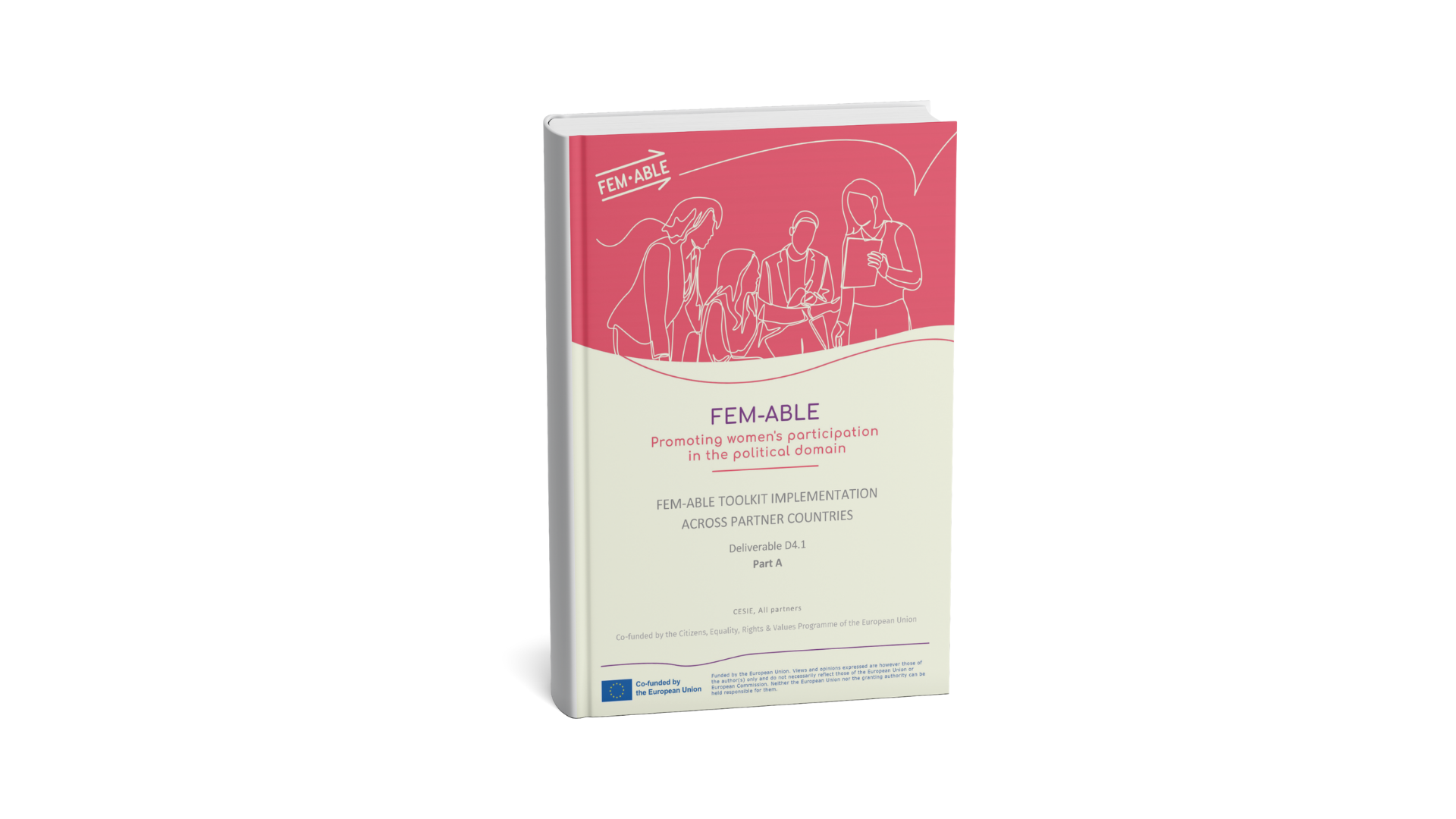 FEM-ABLE – Implementation toolkit and national case studies