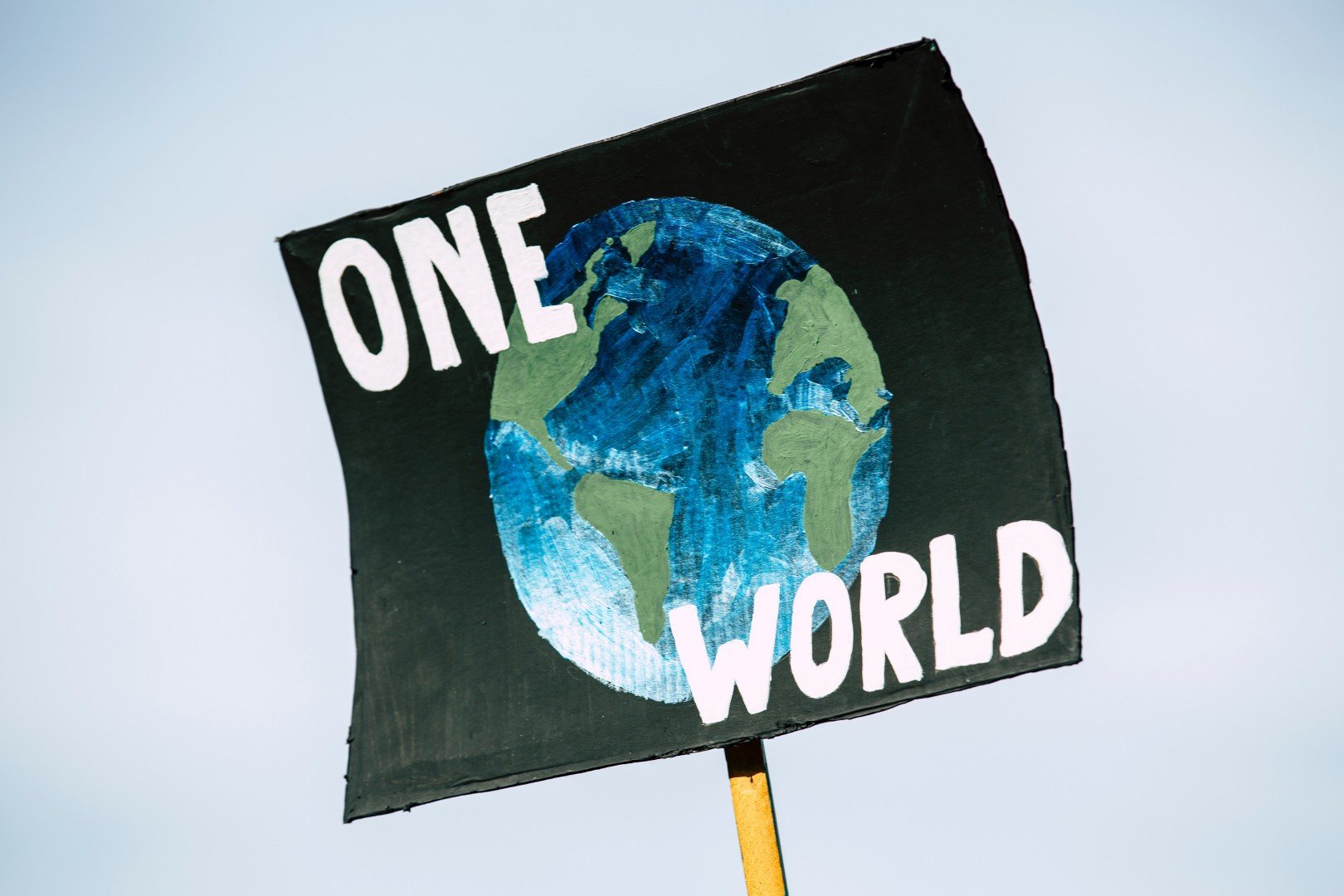 Participate in free training for the key actors of social change