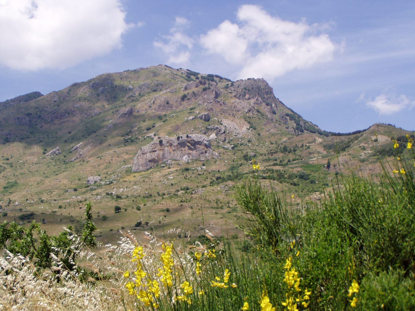 FoTRRIS: un workshop per co-gestire la transizione energetica delle Madonie