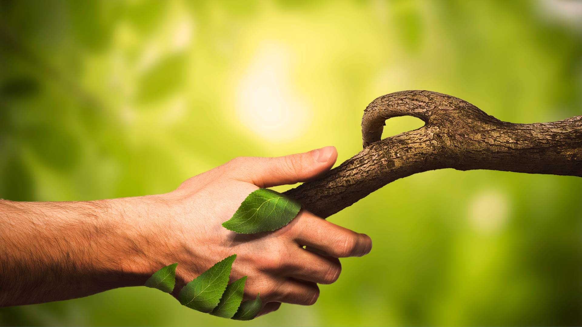 Future Narratives for Planet Earth: a new vision about the relationship between human and nature