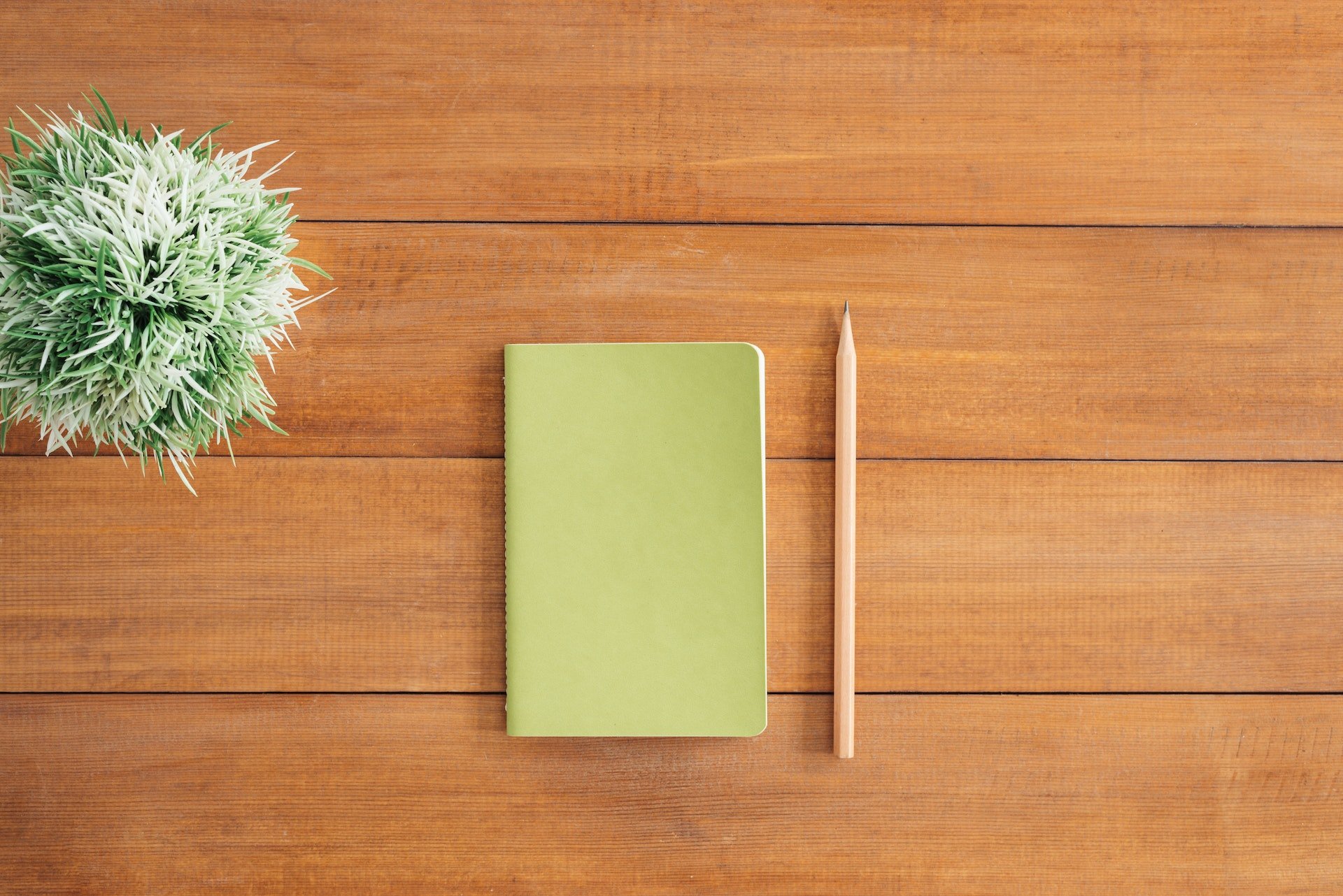 GEA: Participate in a training course on green entrepreneurship