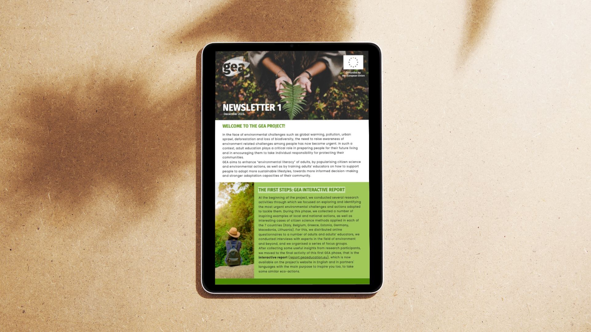 GEA – Newsletter