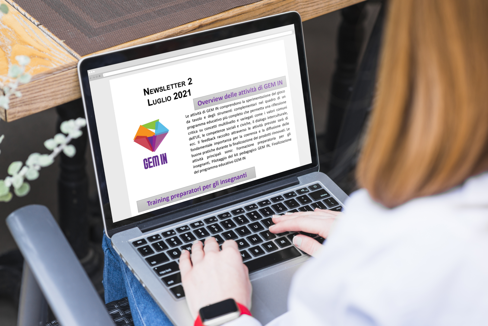 GEM IN – Newsletter 2