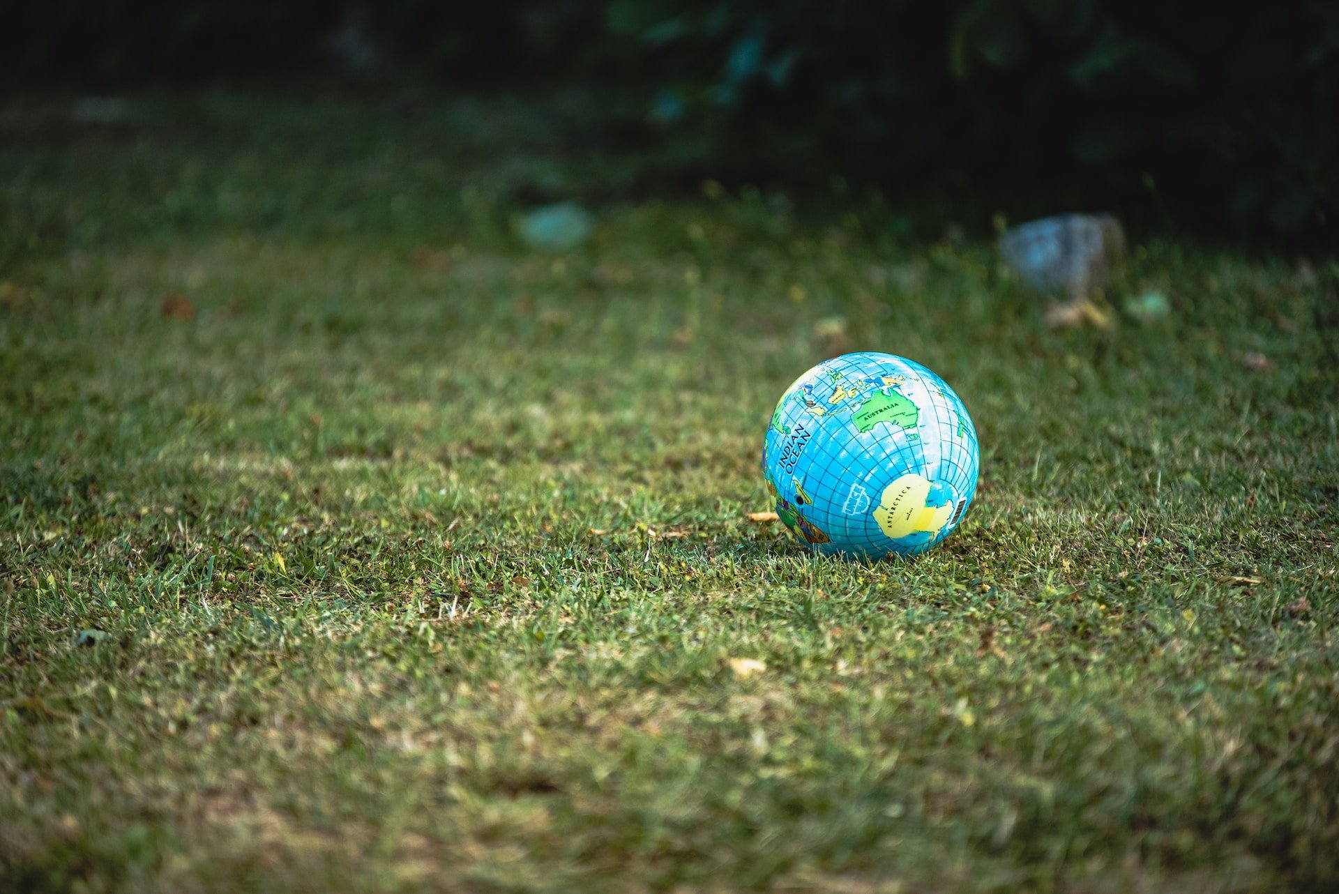 Concrete actions to protect the environment: let’s invest in our planet