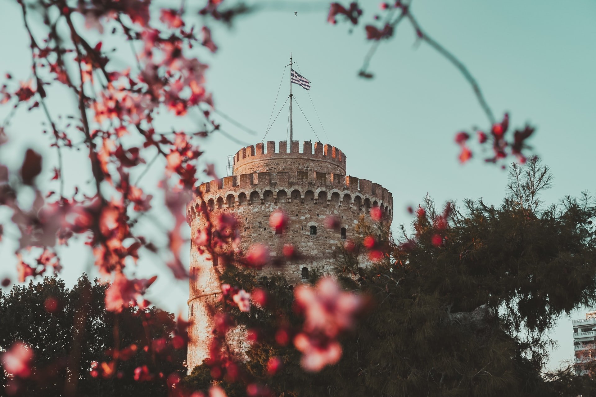 “Green your mind”: ESC Volunteering in Greece