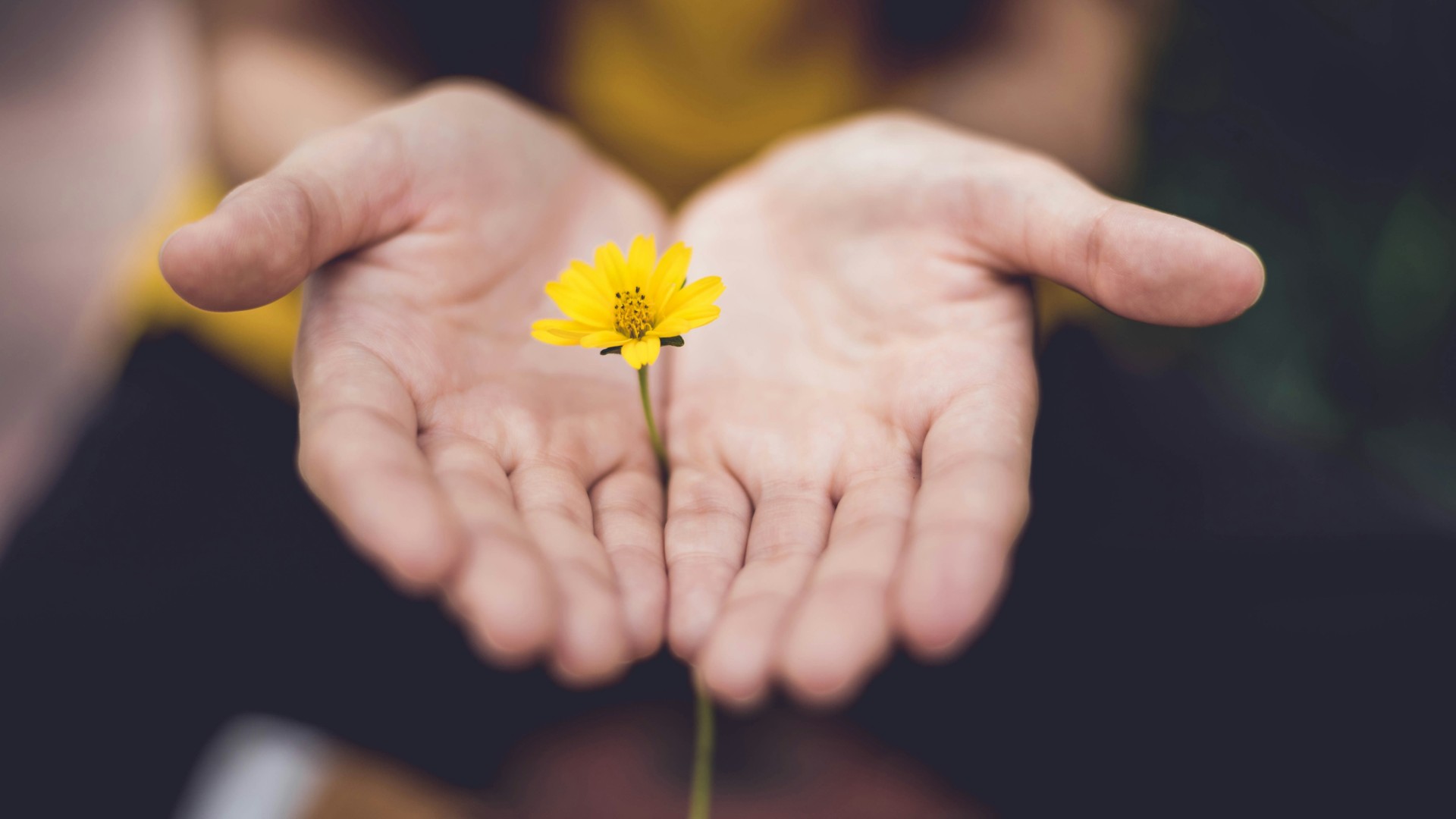 A Care-Divide training programme to promote gender balance in care work