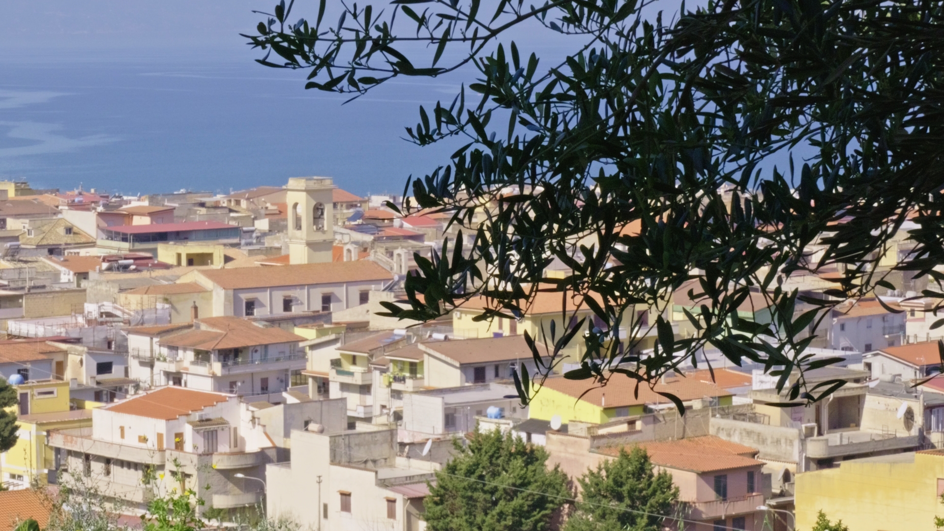 La città di Trappeto vista dal Borgo Danilo Dolci, con le foglie di un 