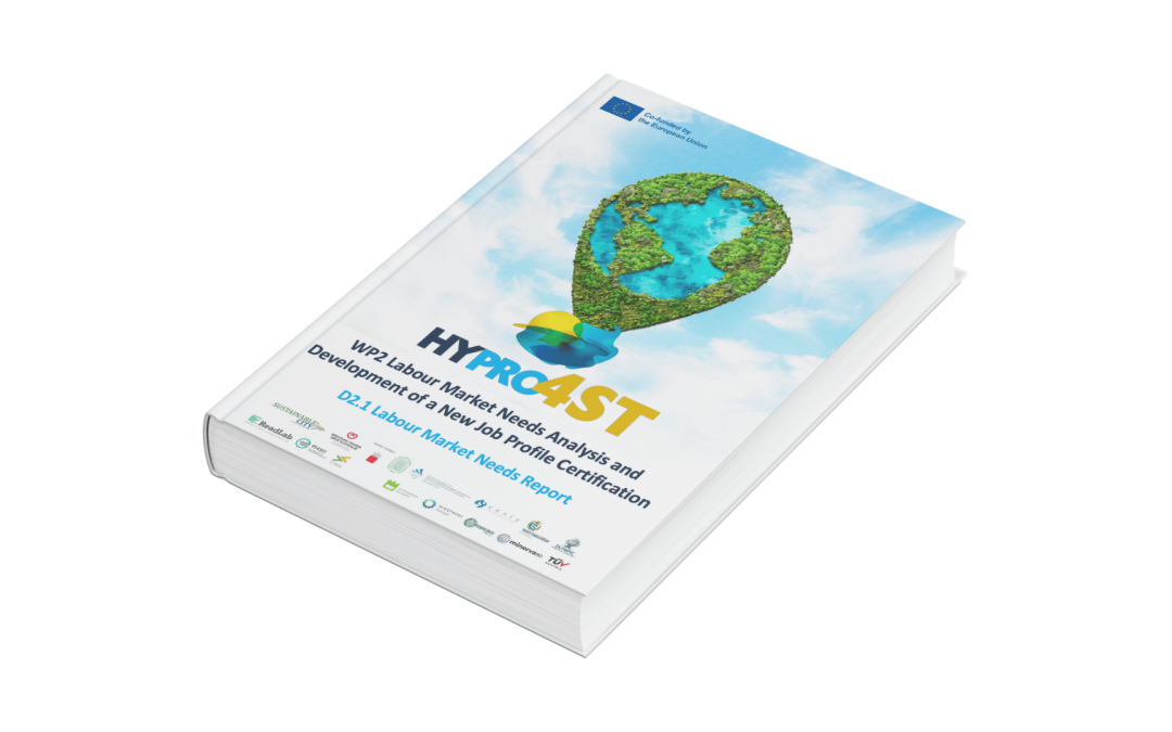 HyPro4ST – Analisi delle esigenze del mercato e nuovo profilo professionale