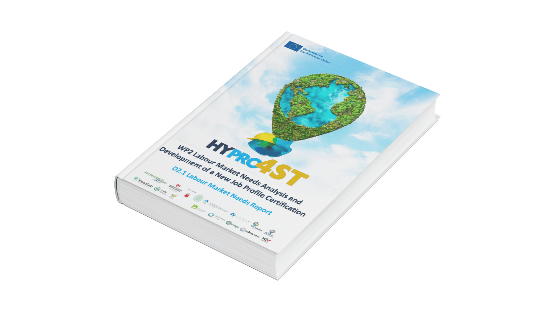HyPro4ST – Analisi delle esigenze del mercato e nuovo profilo professionale