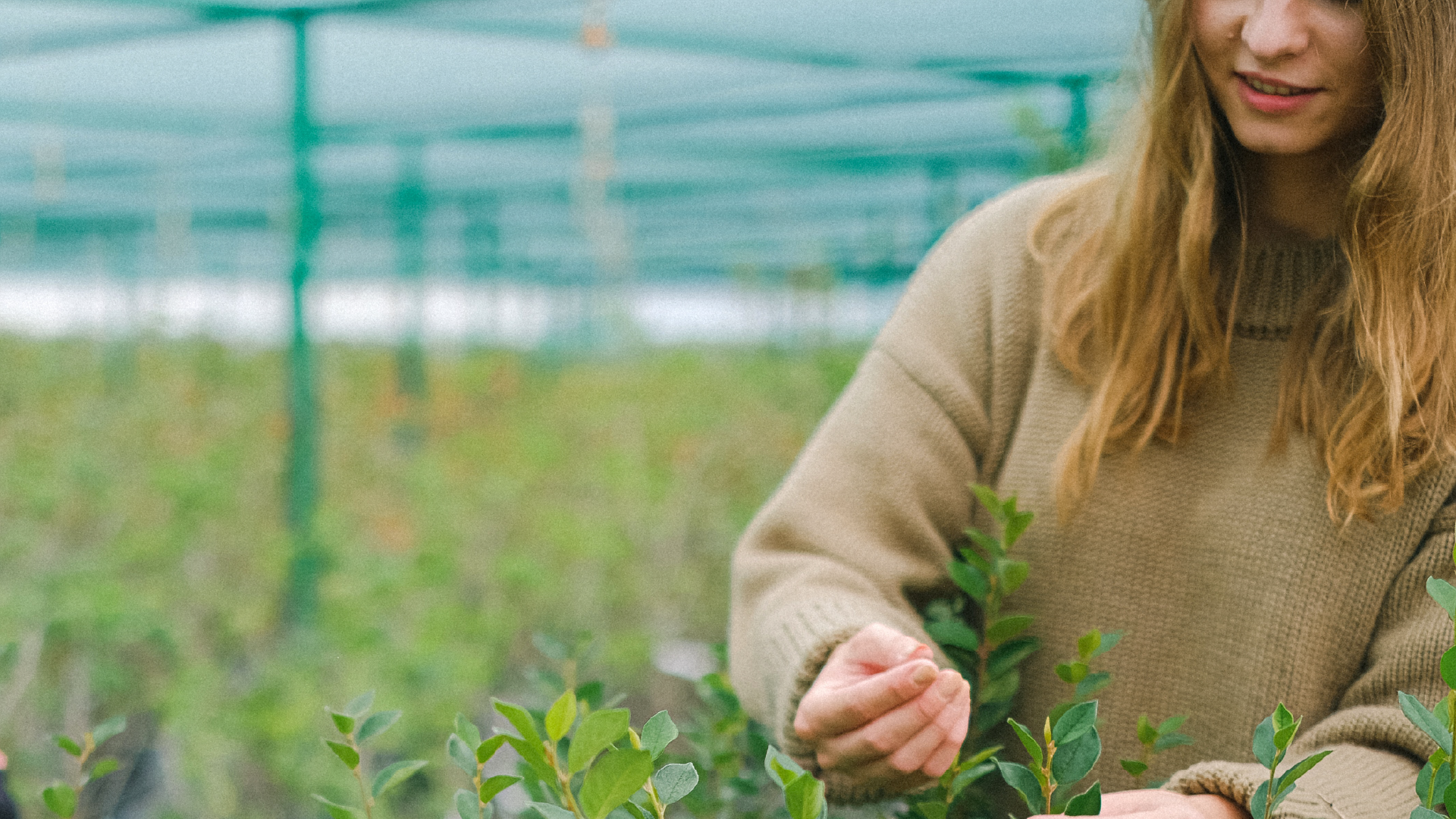 Future imprenditrici e professioniste del settore agroalimentare cercasi!