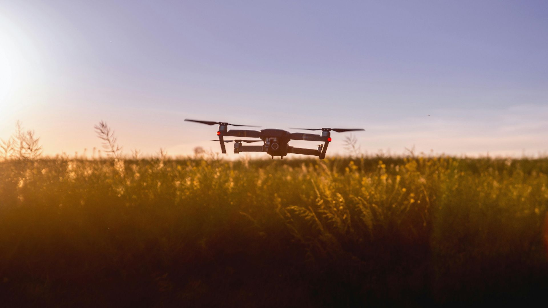 Oltre ITFARM: promuovere la trasformazione digitale dell’agricoltura in Europa