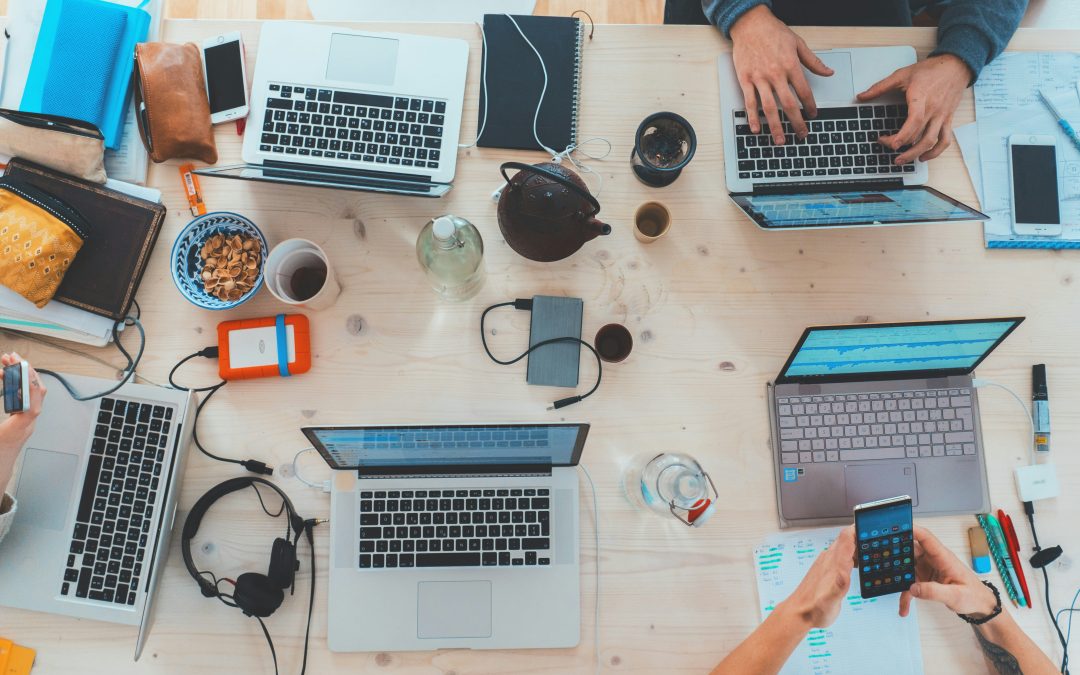 Dall’università al mondo del lavoro: costruire imprese innovative e sostenibili