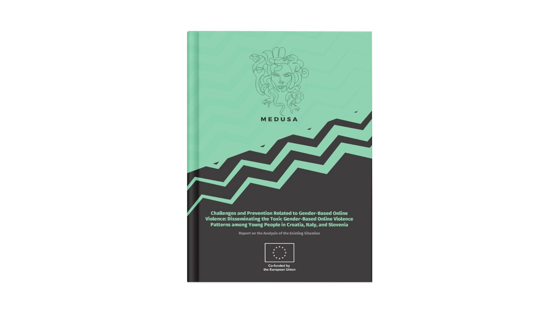 MEDUSA – Report on online gender-based violence