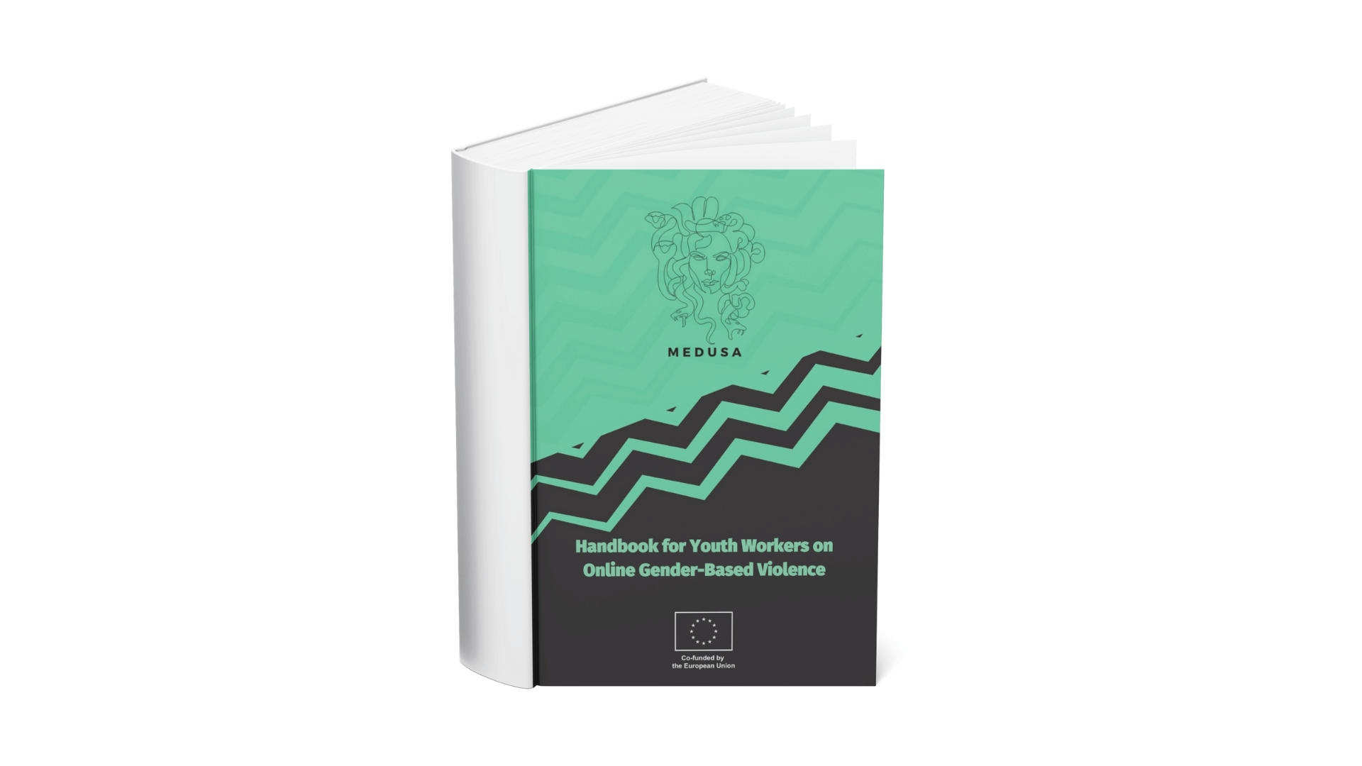 MEDUSA – Handbook for youth workers on online Gender-Based Violence