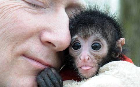 That’s a “Monkey business”!