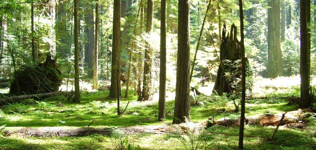SVE in Austria tra natura e spirito di iniziativa