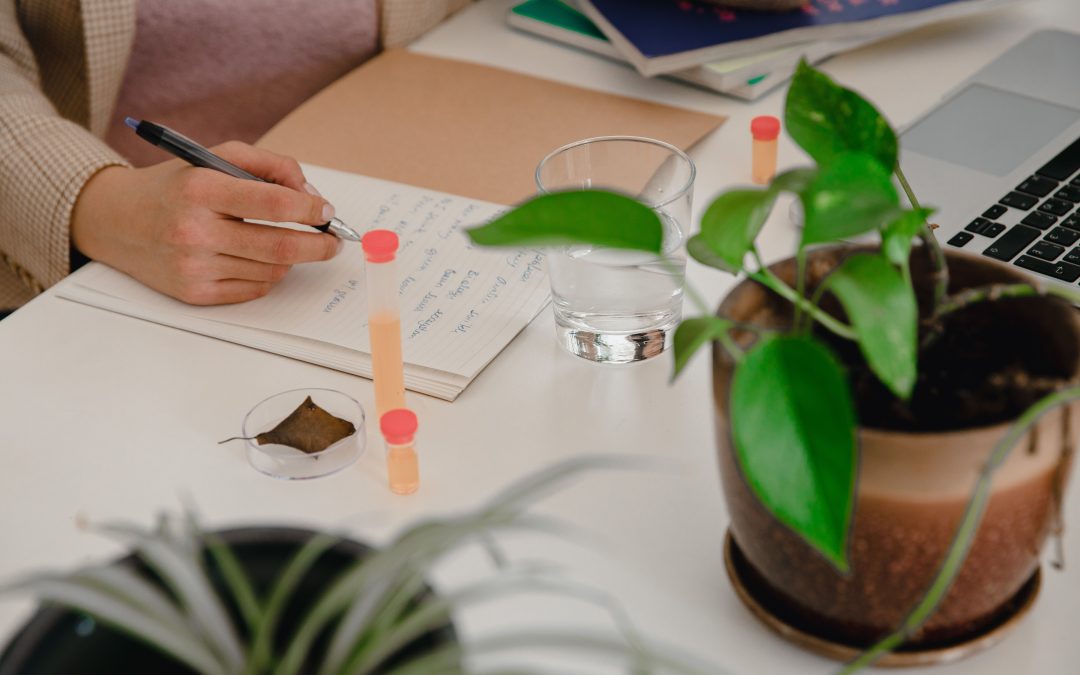Green Skills for Sustainable Higher Education