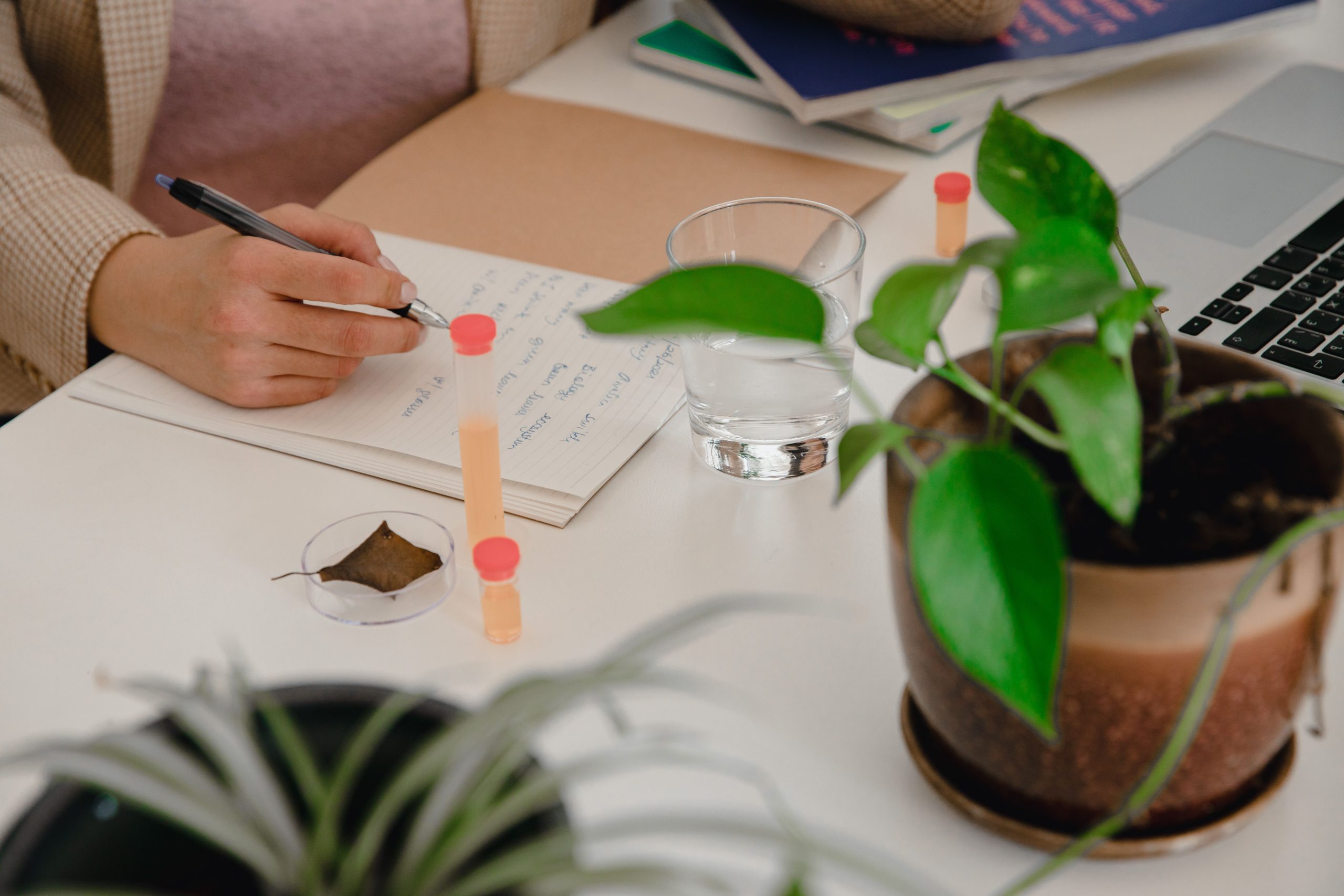 Green Skills for Sustainable Higher Education