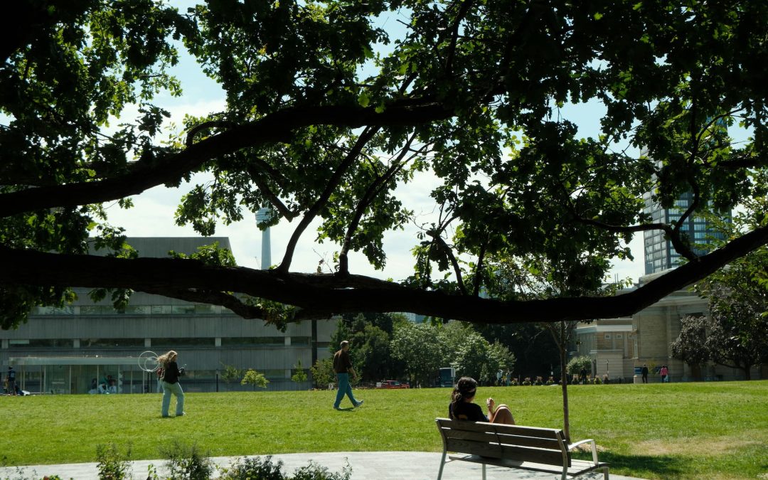 Avanzano le riforme per un’istruzione superiore verde e digitale in Armenia e Moldavia