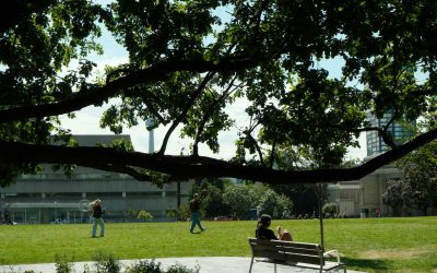 Avanzano le riforme per un’istruzione superiore verde e digitale in Armenia e Moldavia