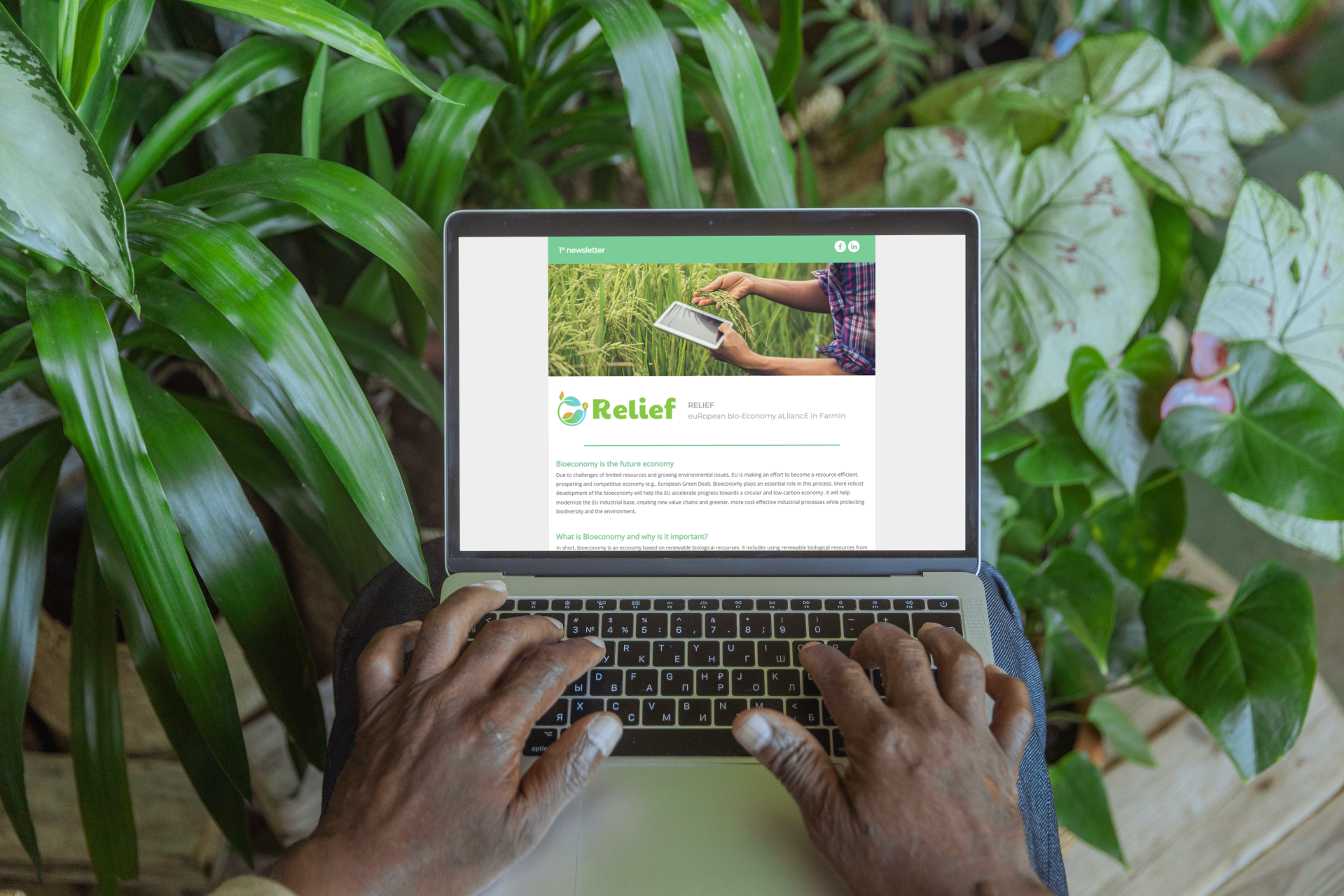 Relief – Newsletter