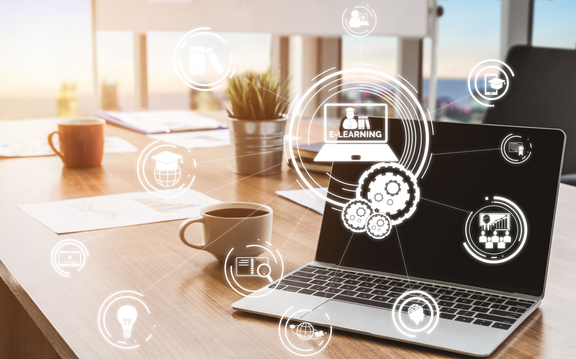 formazione renyo online
