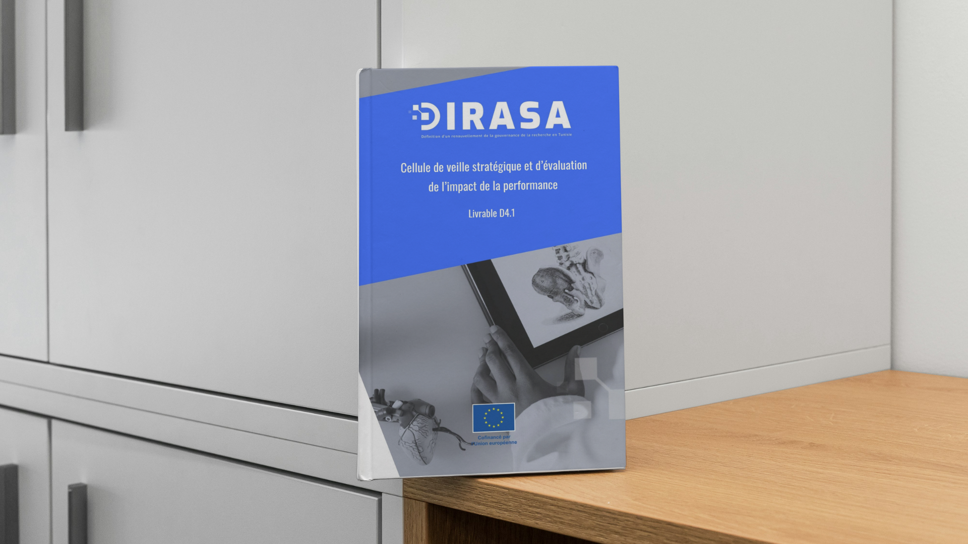 DIRASA – Institutional action plans of the strategic monitoring and performance units