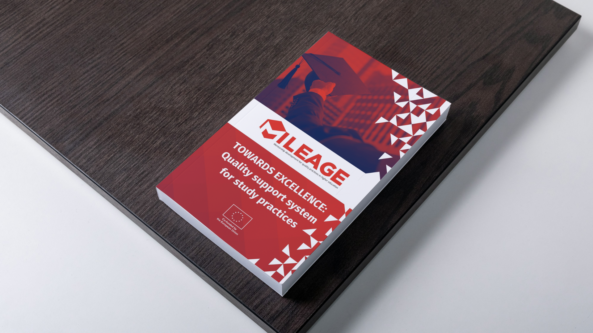 MILEAGE – Verso l’eccellenza: sistema di supporto alla qualità per i tirocini