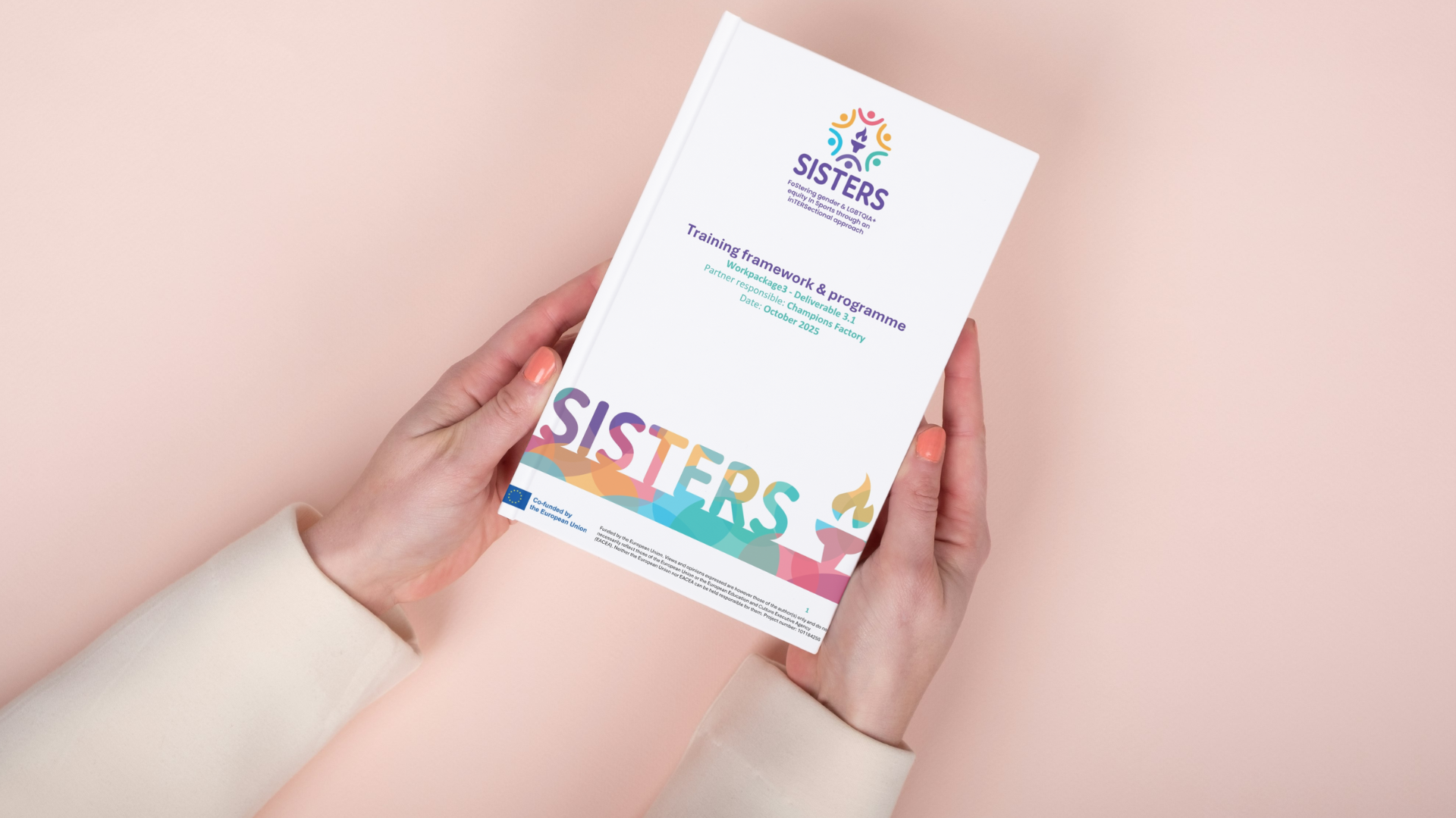 SISTERS – Training framework and programme
