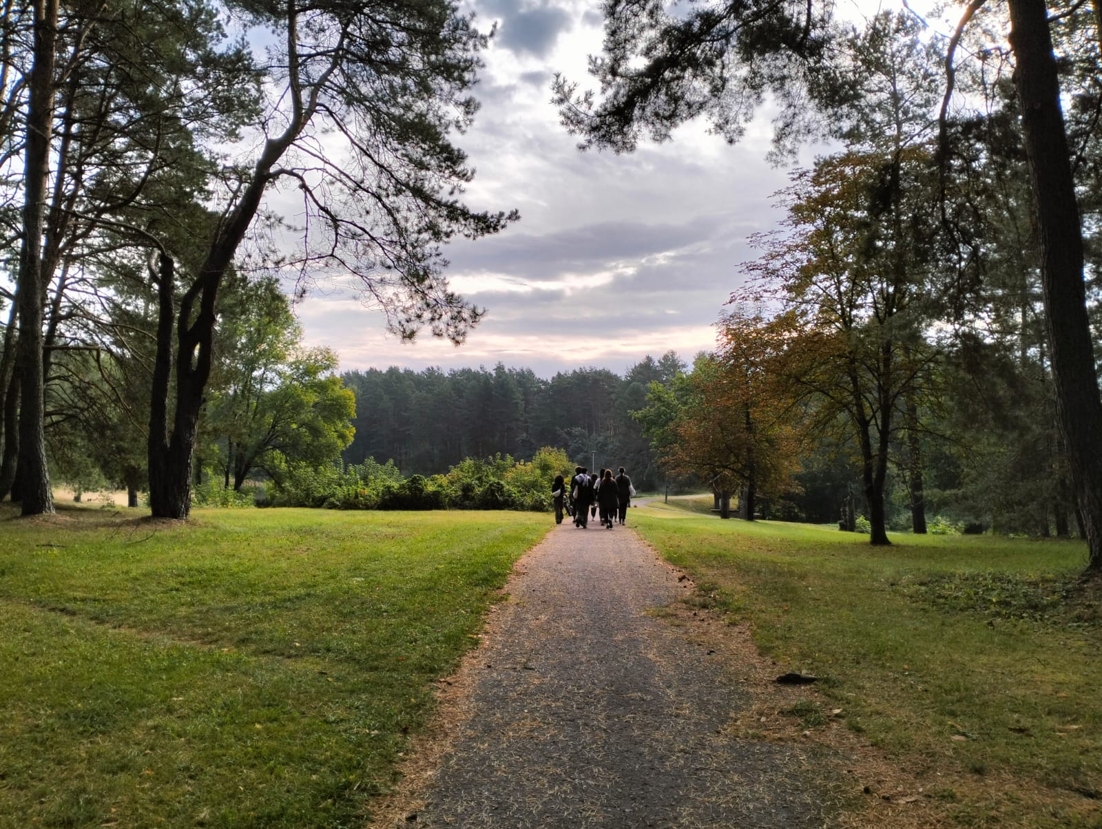 Il potere rigenerante della foresta e la forza delle connessioni umane