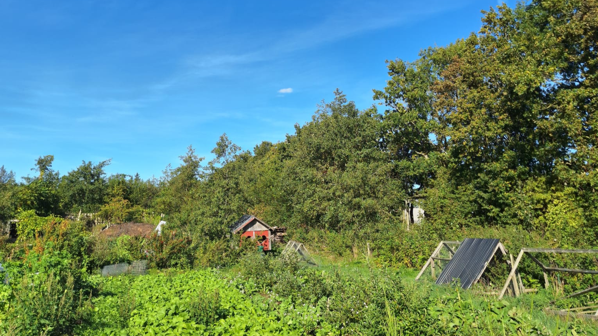 Agroecology, education and territory: free training programme for educators