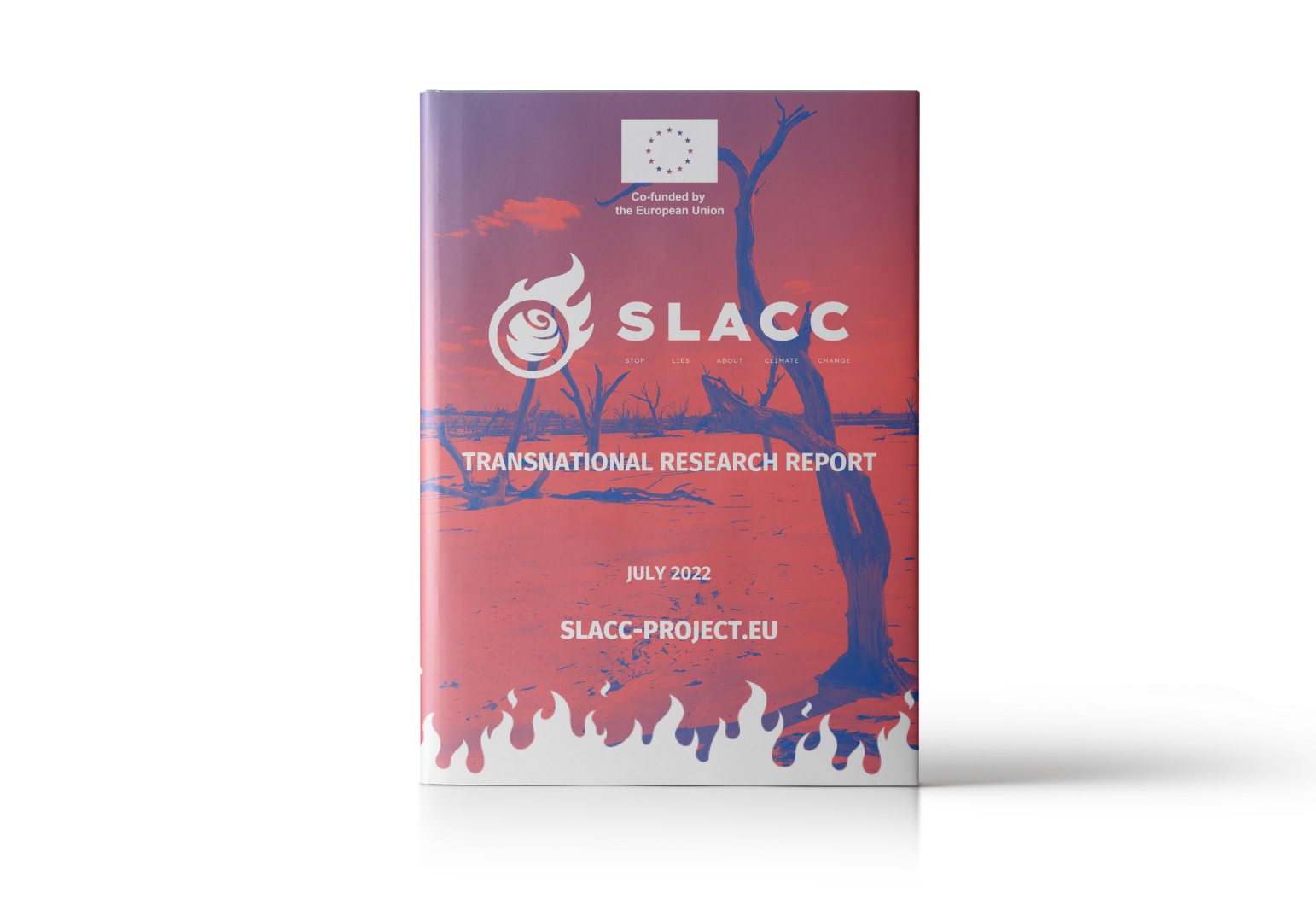SLACC: Transnational research report