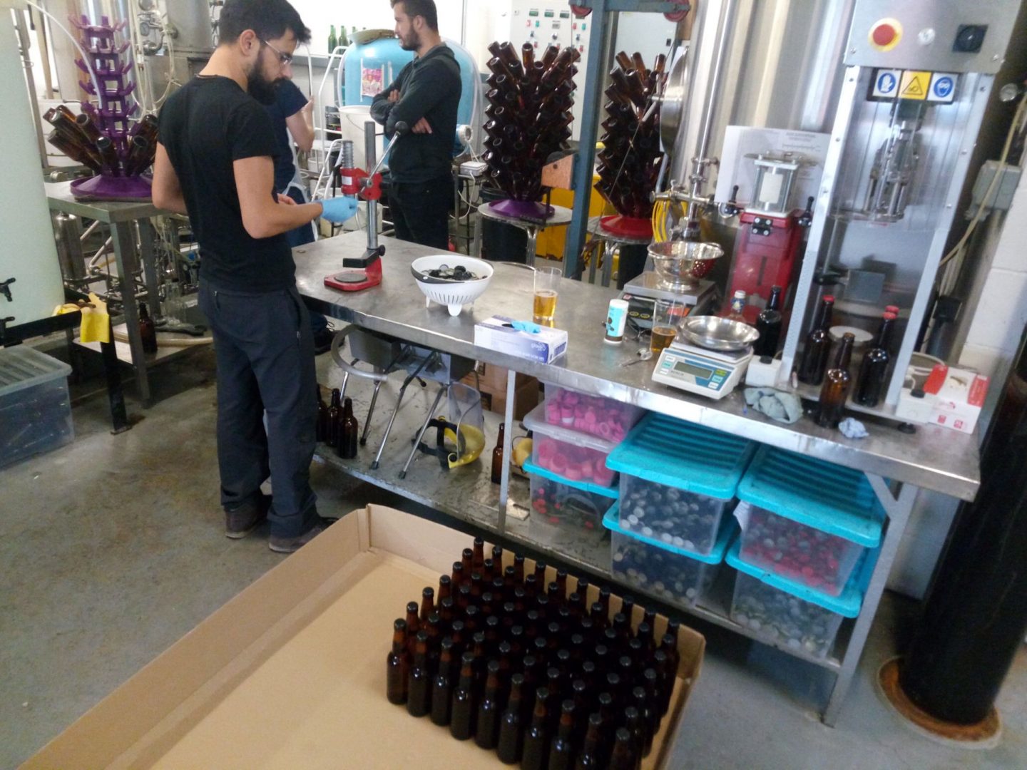 StartUp2: Un giovane imprenditore lancia la sua "Birra Brigante" a Sunderland