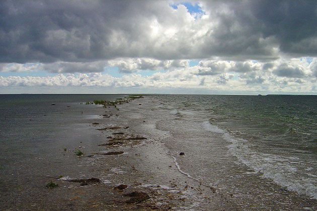 Volunteer wanted! SVE in Estonia