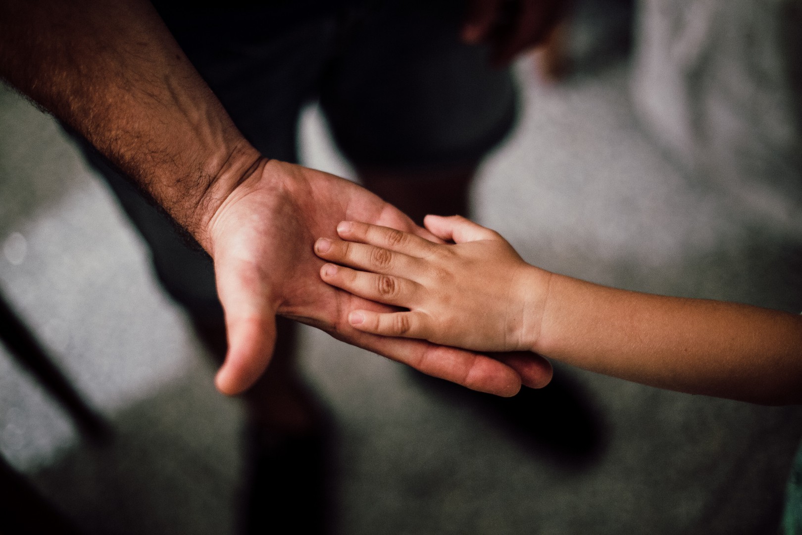 Diciamo “STOP!” alla violenza sullз minori – Scopri la piattaforma e-learning STOP!